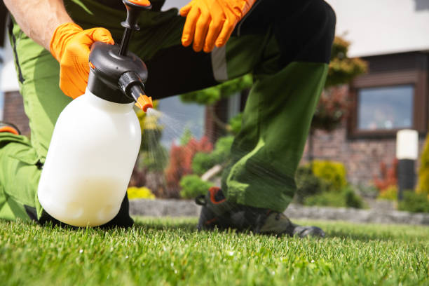 Trusted Long Beach, NY Pest Control Experts