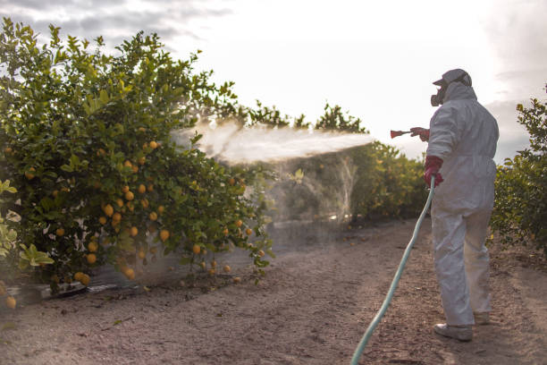 Best Pest Prevention Services  in Long Beach, NY
