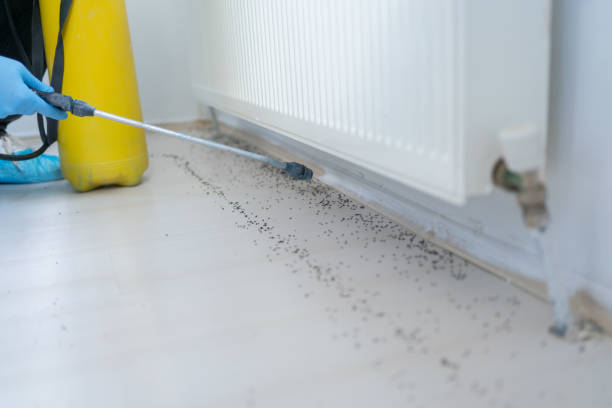Best Best Pest Control Companies  in Long Beach, NY