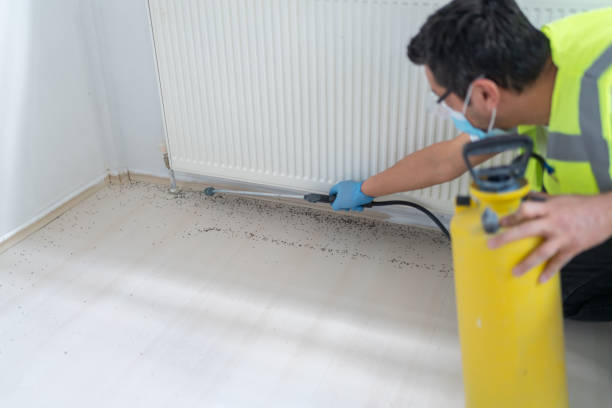 Best Rat Extermination Near Me  in Long Beach, NY